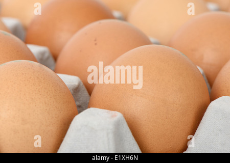 Nahaufnahme von Eiern auf Tablett, isoliert auf weiss Stockfoto