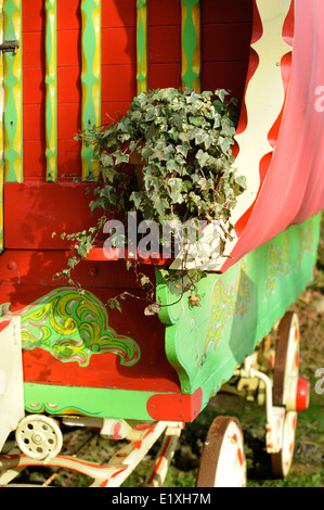 Detail von einem Zigeunerwagen Stil mit Efeu Topfpflanze für Ferienunterkünfte in Ceredigion - West Wales, UK Stockfoto