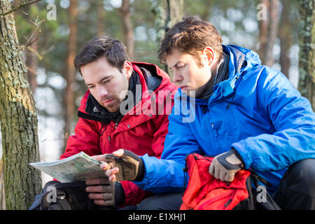 Männliche Backpackers lesen Karte im Wald Stockfoto