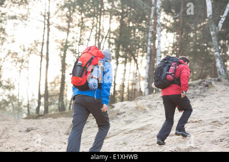 Männliche Rucksacktouristen Wandern im Wald Stockfoto