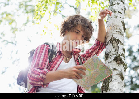 Männliche Backpacker, die Karte zu lesen, während stützte sich auf Baumstamm im Wald Stockfoto