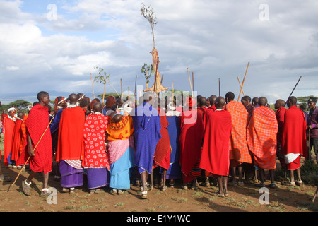Krönung eines neuen Massai Chief bei einem Treffen der ältesten (Ilpayiani). Vorzugehen, Tansania Stockfoto