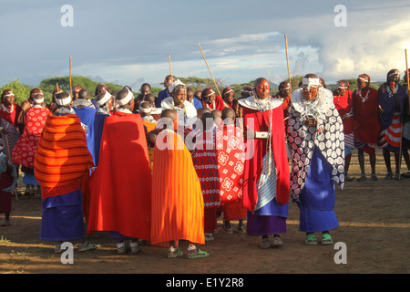 Krönung eines neuen Massai Chief bei einem Treffen der ältesten (Ilpayiani). Vorzugehen, Tansania Stockfoto