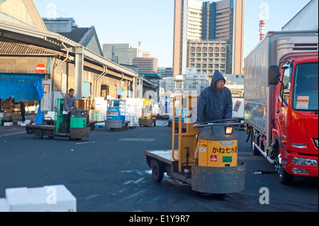 Tokyo Japan 2014 - Tsukiji Fischmarkt Metropolitan zentrale Großmarkt Stockfoto