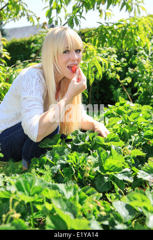 junge Frau Essen Erdbeeren im Garten Stockfoto