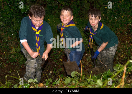 Drei Jungtiere, die Laub abräumen, um Platz für neue Hütte zu machen, Liss, Hampshire, Großbritannien. Stockfoto