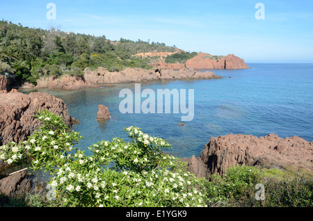 Maupas Calanque auf der Corniche d ' or Corniche de l ' Esterel, zwischen Cannes & Saint Raphaël Côte d ' Azur Frankreich Stockfoto