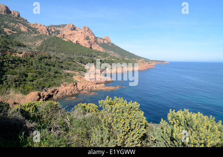 L ' Esterel-Massiv Natur Reserve Corniche d ' or und Mittelmeerküste zwischen Cannes und Saint Raphaël Côte d ' Azur Frankreich Stockfoto