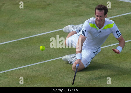 London, UK. 11. Juni 2014. Andy Murray aus Großbritannien in Aktion gegen Paul-Henri Mathieu von Frankreich, während die Männer Tag drei bei Aegon Tennis Championships im Queens Club. London, England, UK Credit: Action Plus Sport Bilder/Alamy Live News Stockfoto