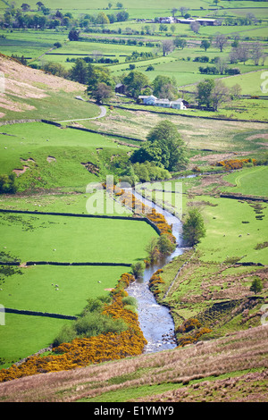 Ein Fluss, der durch Mosedale-Tal im englischen Lake District, Großbritannien. Stockfoto