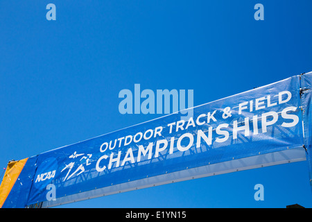 Eingang-Banner für die 2014 NCAA Outdoor Track und Feld-Meisterschaften am Hayward Field auf der University of Oregon. Stockfoto