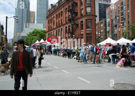 TORONTO, Kanada - 8. Juni 2013: verschiedene Hunde, die Teilnahme an Woofstock-Festival in Toronto, Kanada. Stockfoto