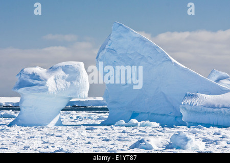 Antarktische Gletscher im Schnee Stockfoto