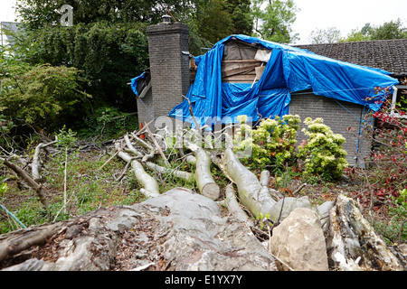 Haus durch große Baum abgeholzt während der Stürme Bangor Nordirland beschädigt Stockfoto