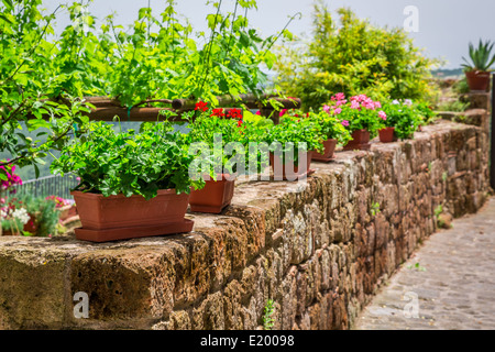 Alte Steinmauer mit Blumen Stockfoto