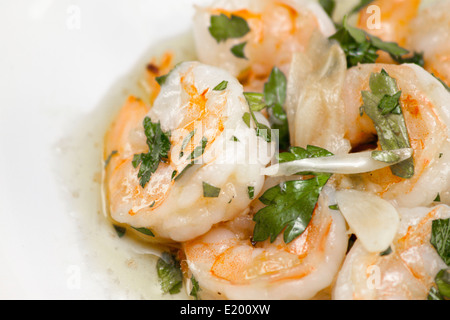 Nahaufnahme von Muschelgerichten Garnelen in Olivenöl mit Knoblauch und Petersilie gewürzt. Stockfoto