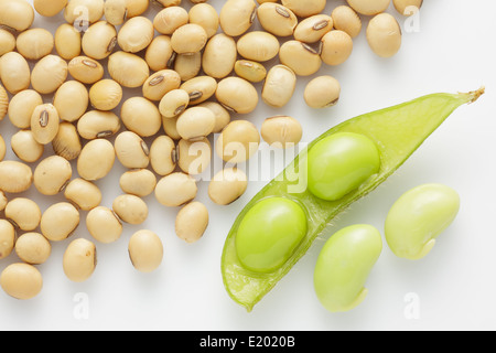 frische Erbsen Pod und trockener Sojabohnen auf weißem Hintergrund. Stockfoto