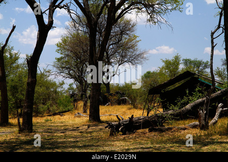 Afrikanische Botswana private Campingplätze, Meru Stil Qualität Bad verwendeten Zelte auf private Safaris, passen gut zu den Busch veld Stockfoto