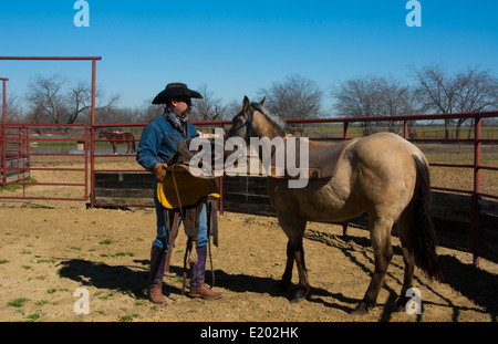 Dallas Texas Tate Ranch Cowboy Training 2-jährige Pferde auf ersten Sattel auf ihnen für das Training auf der Ranch zu brechen Stockfoto