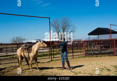 Dallas Texas Tate Ranch Cowboy Training 2-jährige Pferde auf ersten Sattel auf ihnen für das Training auf der Ranch zu brechen Stockfoto