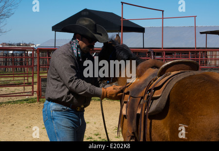 Dallas Texas Tate Ranch Cowboy Training 2-jährige Pferde auf ersten Sattel auf ihnen für das Training auf der Ranch zu brechen Stockfoto