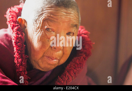 Nepal Himalaya buddhistische Nonne im Kloster Kharigandentenphelling in dem Dorf von Thamo Solukhumbu Mt Everest 90 Stockfoto