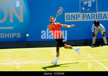 Benoit Paire (Frankreich) im Queens Club, 2014 Stockfoto