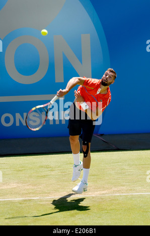 Benoit Paire (Frankreich) dienen im Queens Club, 2014 Stockfoto