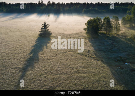 Am frühen Morgen mit Nebel, Schwarzes Moor Naturschutzgebiet, Hochmoor, Rhön-Biosphärenreservat, Fladungen, Bayern, Deutschland Stockfoto