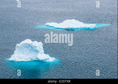 Kleine schwimmende Eisberge, Danco Island, Antarktis Stockfoto