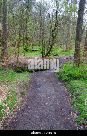 Hardcastle Klippen Naturpark, Hebden Bridge, Stockfoto