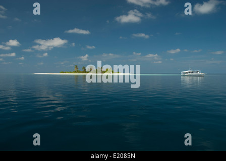 Sehr kleine tropische Insel in Ari Atoll, Malediven Stockfoto