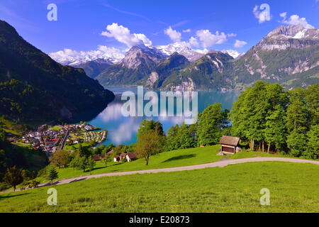 Sisikon und Urnersee See, Vierwaldstättersee, Weg der Schweiz, Urner Alpen oder Urner Alpen der Zentralschweiz mit Blick auf die Stockfoto