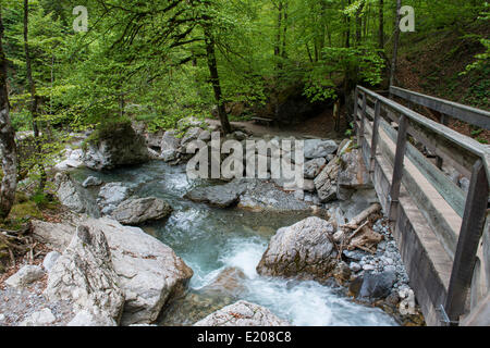 Promenade in die Seisenbergklamm, Weißbach, Saalach, Lofer, Zell am See Bezirk, Salzburg, Österreich Stockfoto