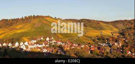 Weinberge im Herbst, in der Nähe von Uhlbach, Stuttgart, Baden-Württemberg, Deutschland Stockfoto