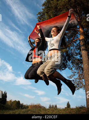 Hochsprung Stockfoto