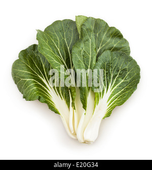 Bok Choy Chinakohl verlässt isoliert Stockfoto