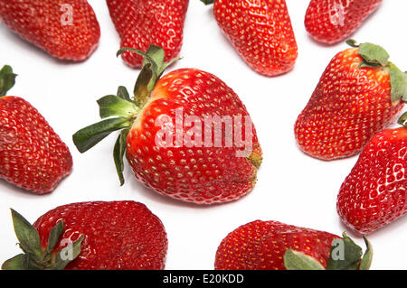 Frische und Reife Erdbeere Stockfoto