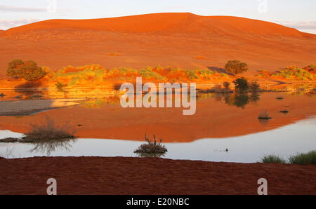 Wasser am Sossusvlei, Namibia, Regen saison Stockfoto