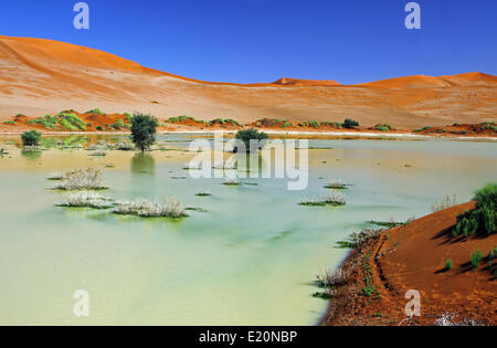 Wasser am Sossusvlei, Namibia, Regen saison Stockfoto