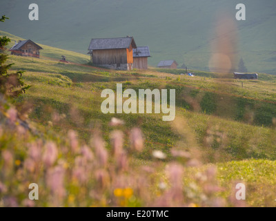 Wunderbare Berglandschaft mit blühenden Wiesen und eine Gruppe von Hütten bei Sonnenaufgang in den Bergen in einem Tag des Sommers. Stockfoto