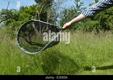 Ein Schmetterlingsnetz verwenden Stockfoto