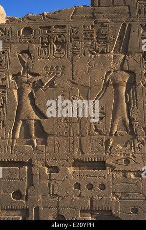 Ägyptische Kunst. Der Karnak-Tempel-Komplex. Der Pharao Ramesses II mit Hingabe an den Gott Amun. Stockfoto