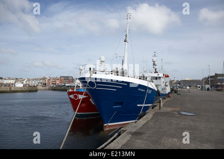 Angelboote/Fischerboote in Bangor Hafen Nordirland Stockfoto