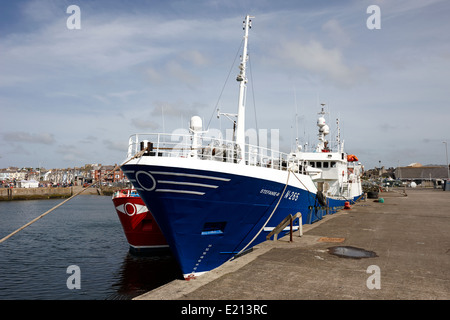 Angelboote/Fischerboote in Bangor Hafen Nordirland Stockfoto