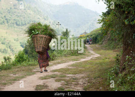 Einheimische Frau tragen schwere Last Weg im Helumbu Trail, nepal Stockfoto
