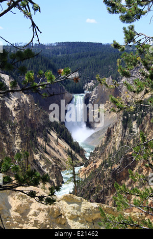 Canyon von Farben mit Lower Yellowstone Falls Stockfoto