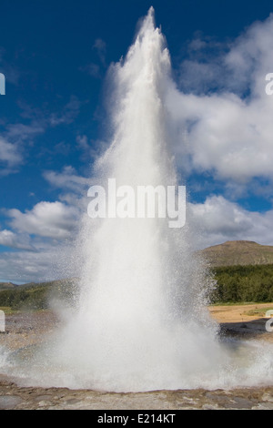 Berühmten Geysir Strokkur ausbricht, Island. Stockfoto