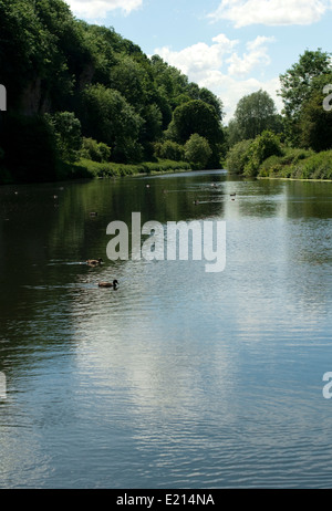 Der See am Creswell Crags Kalkstein Schlucht auf Derbyshire / Nottinghamshire Grenze Stockfoto