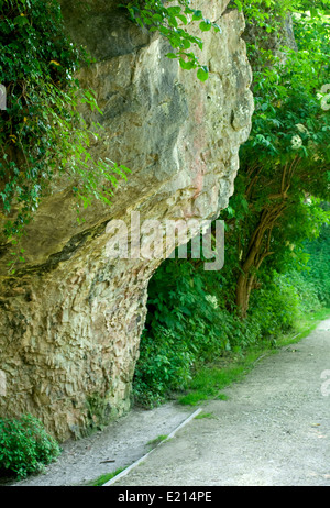 Kalkstein Felsformation am Creswell Crags in Derbyshire Stockfoto